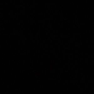 Meet your Posher, Frank